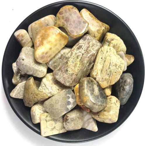 100g Natural Chrysanthemum Petrified Wood Stone Crystal Stones Healing Specimen Natural Stones And Minerals Drop Shipping