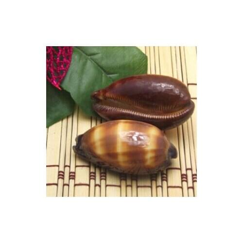 Natural conch shell home decoration fish tank aquarium wall decoration ornaments collection wine barrel treasure conch