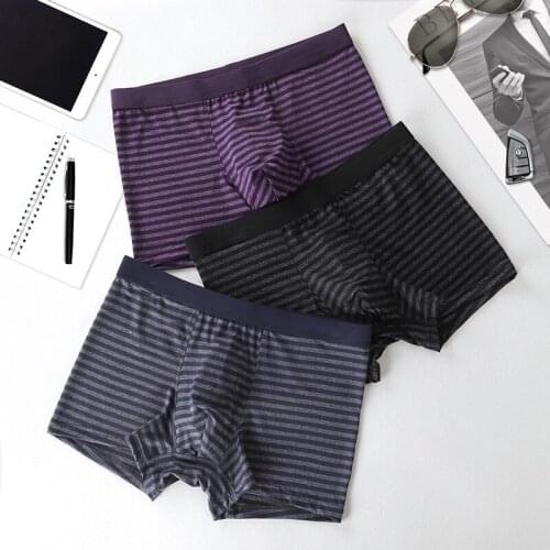 BERDAN Stripes Clothing Panties Mens Shorts Pouch Underpants Cotton Homme Sheath Boxershorts Bag Boxers Male Brand