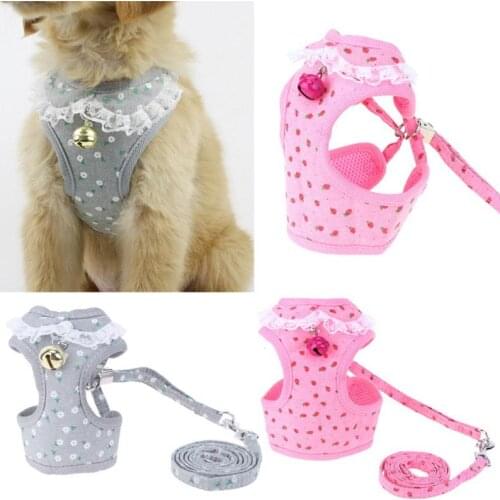 Pet Dog Leash Vest-style Chest Back Rope Pet Cat Dog Strawberry Chest Back Suit Fashion Breathable Outdoor Walking Collar