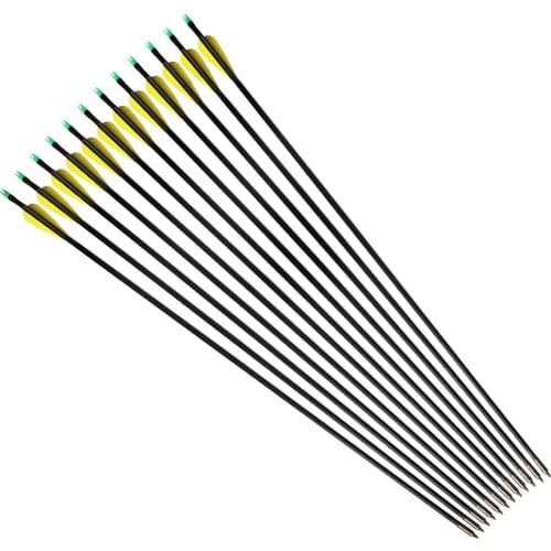 12Pcs 33inches Archery Fiberglass Arrows Fletched Nock Hunter Replaceable Tips for Hunting Practice