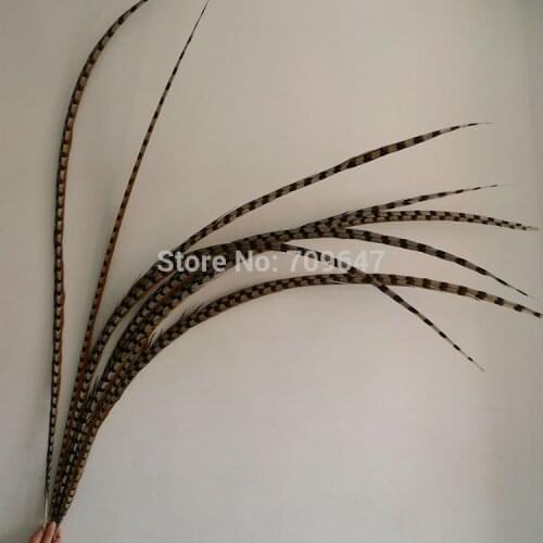 20pcs/lot!55-59inch(140-150cm)Natural Loose Reeves Pheasant Tail Feathers for Costumes decor,Long Pheasant Tail Feathers
