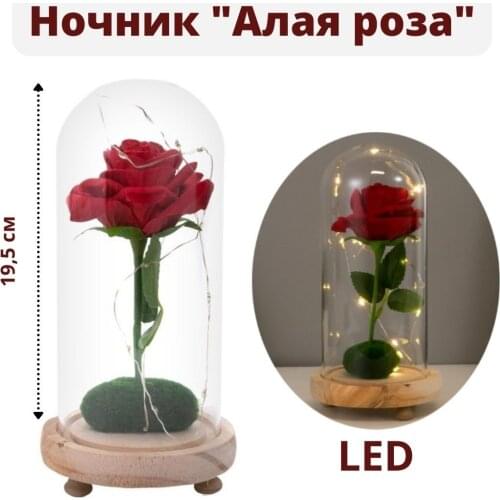 GlobusOff Spotlights