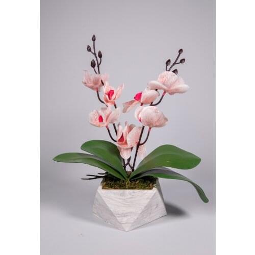 Concrete flower pot artificial orchid flower pink white decoration vase accessories home decorative colorful lifeless leaf stone plastic