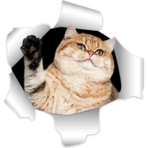 Three Ratels animal walll sticker for Rooms Decora DIY Fade Resistance cat wall sticker for Home Bedroom Decor