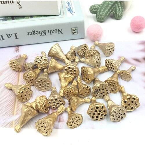 Japan Dadi Agricultural Park Imported Small Lotus Golden Lotus Dried Flower Fruit Glass Cover Gift Box Accessories 22420