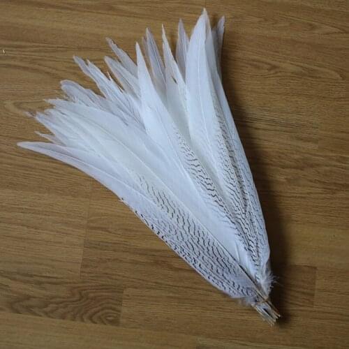 Wholesale 50pcs/lot High Quality Pheasant Tail Feathers 50-55cm/20-22inches for Jewelry DIY Decoration Plumas De Faisan