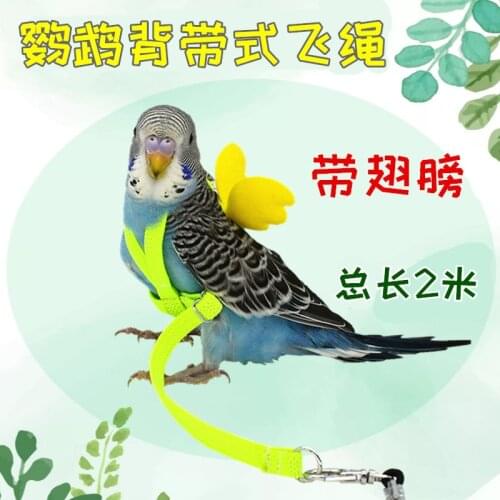 Parrot flying rope strap wing flying rope traction rope elastic tiger skin Xuanfeng out training bird Rope bird supplies