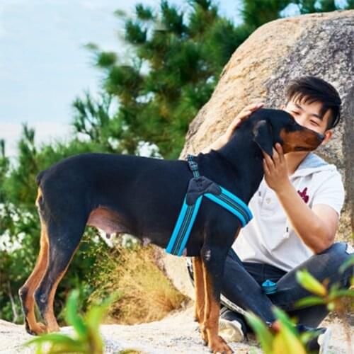 Dog Harness Chest Strap With Reflective Explosion-proof Pet Supplies Pet Leash Strap 4 Color XS S M L
