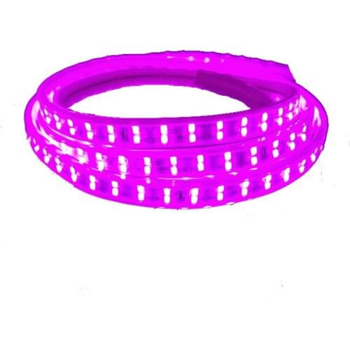 Outdoor Waterproof 220V SMD 2835 120LEDs Red Green Golden Yellow Pink Flexible LED Light Strip
