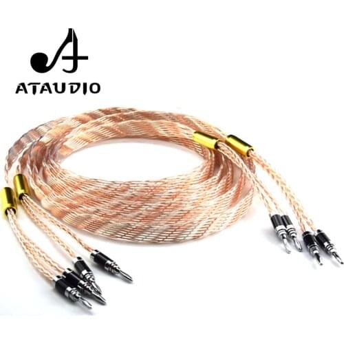 ATAUDIO Ultimate Edition HIFI Speaker Cable High Quality Copper and silver shuffling Speaker Wire With Carbon fiber Banana Jack
