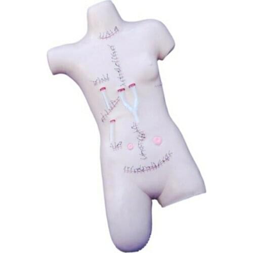 Medical Science Subject Simulator Series Surgical Suture and Bandaging Model