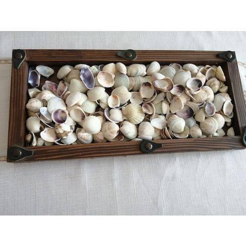 Sea kabuğu-1000g-KENDİMİZ SAHİLDEN gather