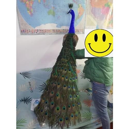 Large real life colourful peacock model foam&real feather beautiful long tail peacock gift about 150cm xf3024