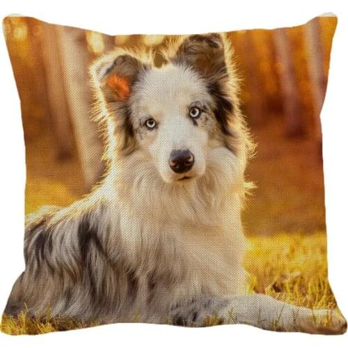XUNYU 45cmx45m Cute Pet Dog Border collie Pattern Linen Decoration Pillowcase Cushion Cover Sofa Waist Pillowcase PC001