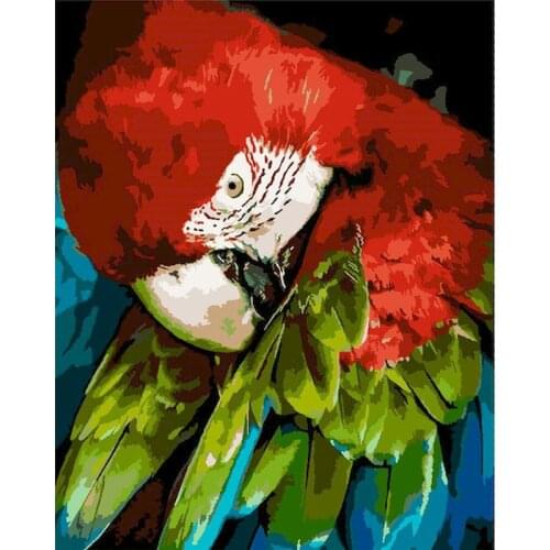 GATYZTORY 60x75cm Frame Diy Painting By Numbers Canvas Drawing Parrot Head Animal Handpainted Gift Wall Decor Artwork