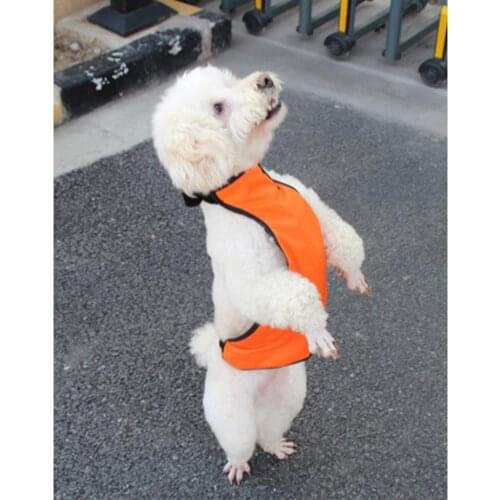 Dog Puppy Apron Pet Outdoor Walking Vest For Small Medium Dogs Cat
