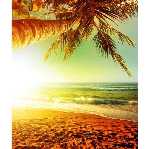 VinylBDS Background Evening Dusk Sandy Beach Photo Backdrop For Summer Wedding,Party,Children Photographic Background