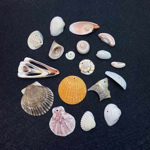 Exquisite Natural Ocean Shell Pendant Beach Decoration Charm Wind Chime Pendant Shell Home Decoration for DIY Handmade 5-50mm