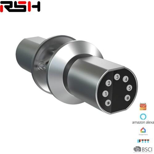 Automatic Household Anti-Theft Door WiFi Intelligent Door Lock Electronic Intelligent Lock