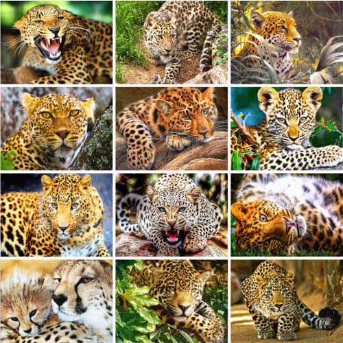 AZQSD Diamond Painting 5d Leopard Animal Handmade Diamond Embroidery Mosaic Home Decor Needlework Art Cross Stitch Kits