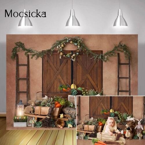 Easter Newborn Baby Portrait Photography Backdrop Rabbit Retro Brown Door Buuny Birthday Cake Smash Backgound Spring Easter Eggs