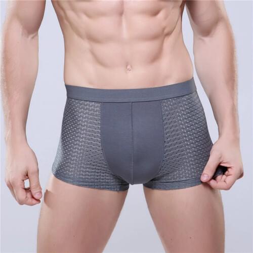 2pcs Mens Ice Silk Breathable Underwear Mens Mesh Pants Transparent Boxershorts Men Boxer Shorts Hombre Trunk Underwears