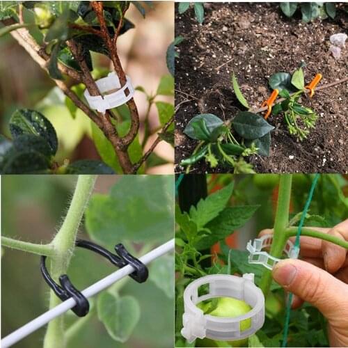50Pcs Plastic Garden Plant Clips Flexible Fixed Strapping Clips Plant Vines Tied Buckles Garden Tool