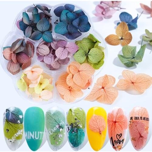 Pressed Dried Flower Nail Art Decoration Hydrangea Floral Petal DIY Tips Sticker Dry Leaf Decals UV Gel Polish Manicure