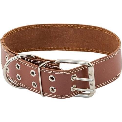 Homepet Pet Supplies