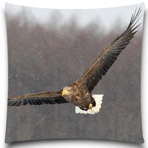 An eagle flying in the rain 2D print creative Pillow case Square cotton polyester cushion cover 5 size 9 style
