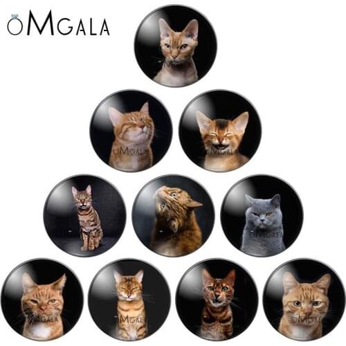 New Cute Cats Animals Photos 10pcs 8mm/10mm12mm/18mm/20mm/25mm Round photo glass cabochon demo flat back Making findings