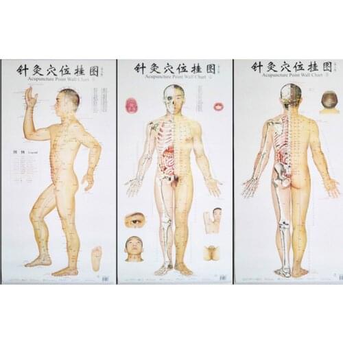 Bilingual Acupuncture Point Wall Charts A Set (Front Side Back) Real Person Chinese and English for Self Care