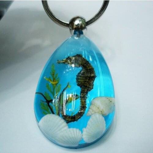 TAFREE Water Drop Type Resin Pendants Keychains Natural Crystal Stone Shell Sea Horse amber Pendant Ornament Keychains N0016