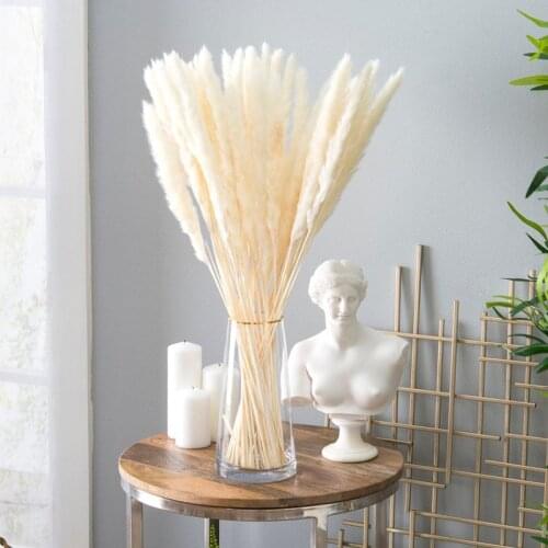 10/20/30 Pcs Natural Dried Small Pampas Grass Flowers Decoration Wedding Decor Reed Real Dried Plants Home Ornaments Bouquet