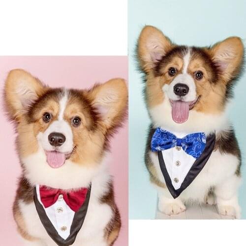 Dog Triangle Bandana Cat Saliva Towel Pet Gentleman Bow Tie Suit Bow Knot Wedding Dress Fashion Accessories Pet Supplies