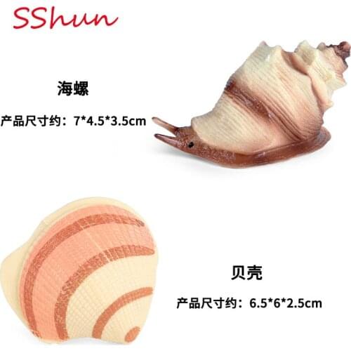 Children early education science beach toys static conch shell jellyfish simulation marine animal model decorative ornaments
