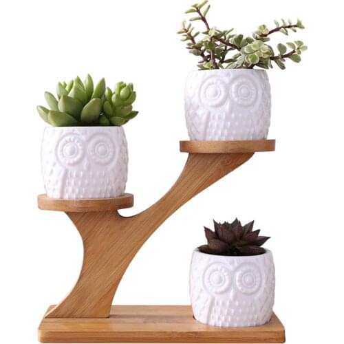 Cute Owl Pot Succulent Cactus Planter Flowerpot Set With Bamboo Shelf Tray Decor