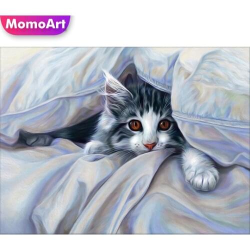 MomoArt Diamond Painting Cat Full Drill Square Diamond Mosaic Animal Cross Stitch Kits Art Painting Needlework Handmade Hobby