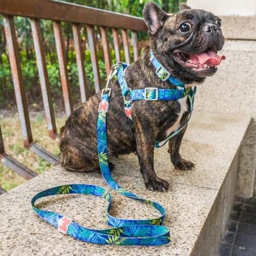 Nylon Dog Harness Pet Adjustable Dog Chest Strap Pet Collars for Small Medium Sized Dogs Pet Leashes Pet Dog Accessories 3pcs
