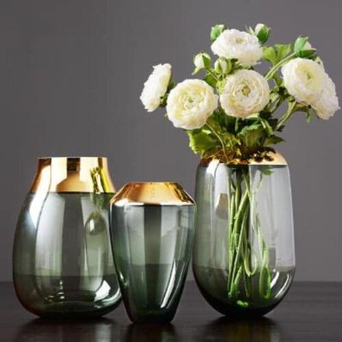 Nordic modern transparent hydroponic gold rim glass vase decoration, creative office table decoration gift