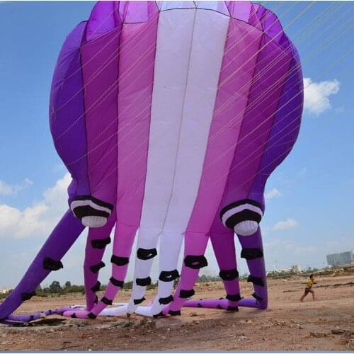Breeze octopus soft kite Single line kite rainbow large kite trilobite Flying kite ripstop nylon fabric outdoor game child
