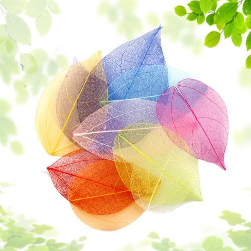 20Pcs Natural Skeleton Leaf Dry Leaves Scrapbooking Decoration For DIY Handmade Materials Wedding Party Decor home decor