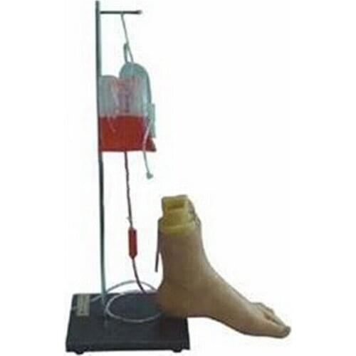 Chinon Foot Intravenous Injection Model Medicine Student Medical Science Education Teaching Tools Equipment BIX-H48