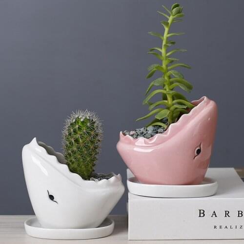 Cartoon Animal Succulent Ceramic Flowerpot Cute Big Mouth Shark Cactus FlowerPot Balcony Garden Plant Bonsai Pot Home Decoration