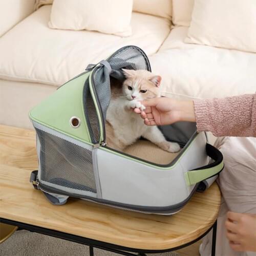 Portable Dog Cat Carrier Bag Breathable Mesh Travel Pet Bag Outdoor Small Cat Carrier Pet Backpack Mochila Para Gato