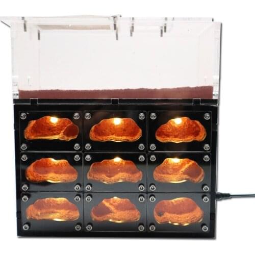 Ecological Ant Farm with Independent Lights Control Anthill Farm Ants Nest Ants Living House Concrete Insect Hotel with Workshop
