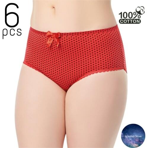 BİGİYİN Women Underwear