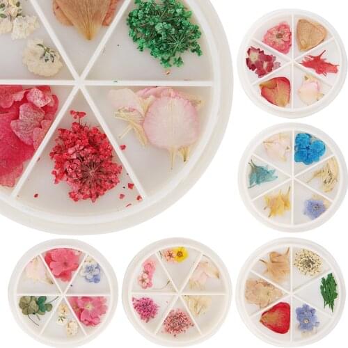 1 Wheel Mixed 3D Dried Flowers Nail Art Spring Summer Leaves Petal Design Gel Nail Polish Coffin Tips Decorations