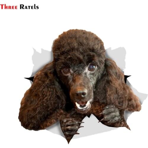Three Ratels FTC-1080 3D Happy Black Poodle Dog Sticker Car Sticker Decal for Car Wall Toilet Kids Room Door Luggage Laptop